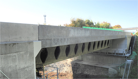 Dura-Bridge, a high-durable bridge