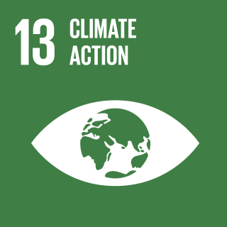 sdg_icon_13_en.png