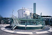yanegatashiki1