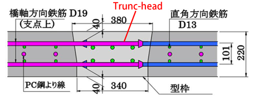 trunc-head-PCa_02.png