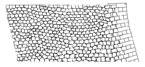 輪郭立面図