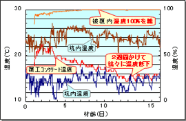 養生温度･湿度の経時変化図