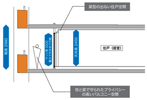 構造概略図