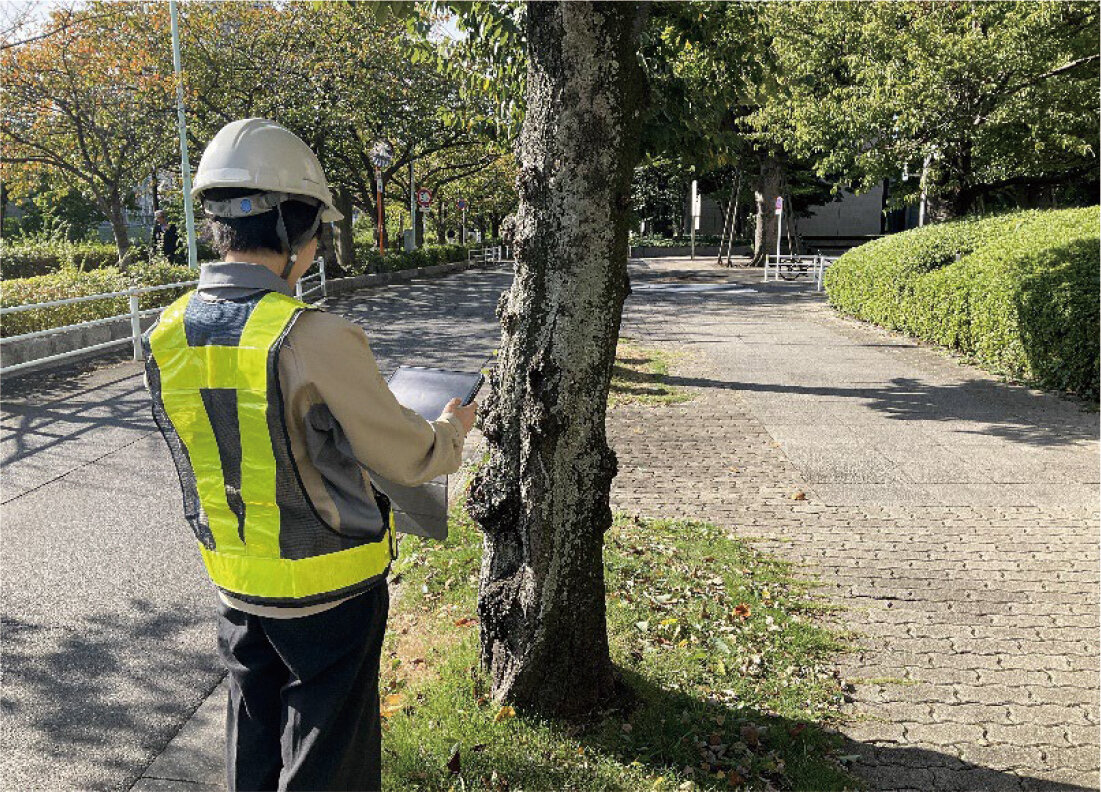 AIを活用した樹木診断システム「tree AI（ツリーアイ）™」の開発に着手