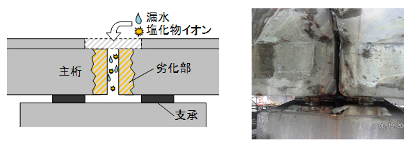 写真－１　主桁端部の劣化状況