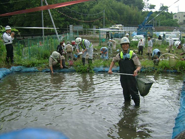 写真-2　仮移設池でのカワニナ捕獲大作戦